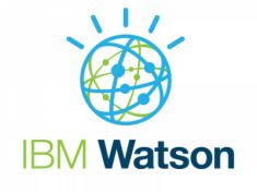 ibmwatsonlogo.jpg